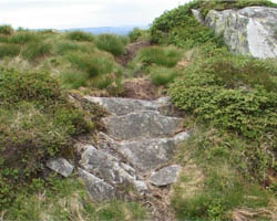 Natural path steps in Ulriken mountain, Bergen, Norway.