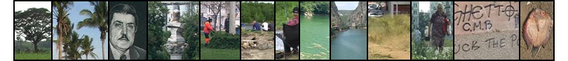 Images from ELephant Paths videos.