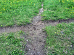 Path crossing in Neiden, Norway.